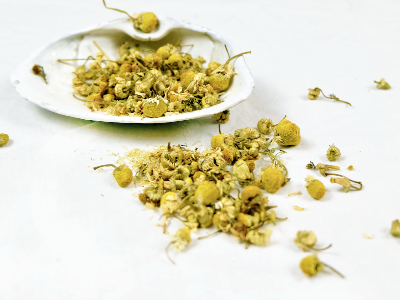 Organic Chamomile