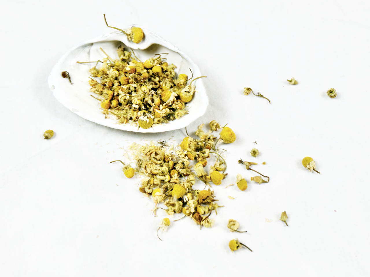 Organic Chamomile