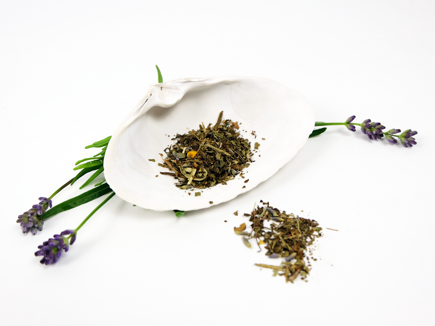 Marginal Way tea and lavender flowers on a white background