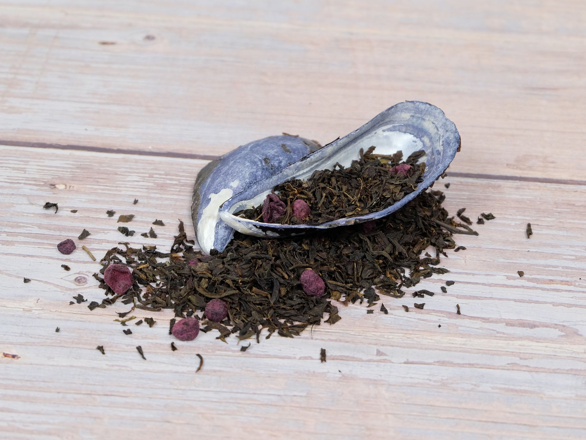 Blueberry Black Tea loose leaf tea on multiple mussel shells