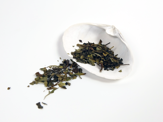 Loose leaf on white shell
Organic Shu Mee White Tea loose leaf tea on a white shell