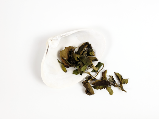 Organic White Peony loose leaf tea on a white shell